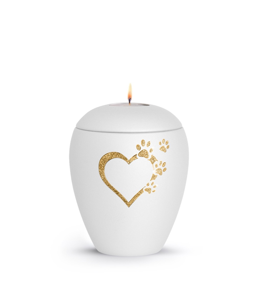 Lichteinsatz, Sparkling Star Herz mit Pfoten in gold