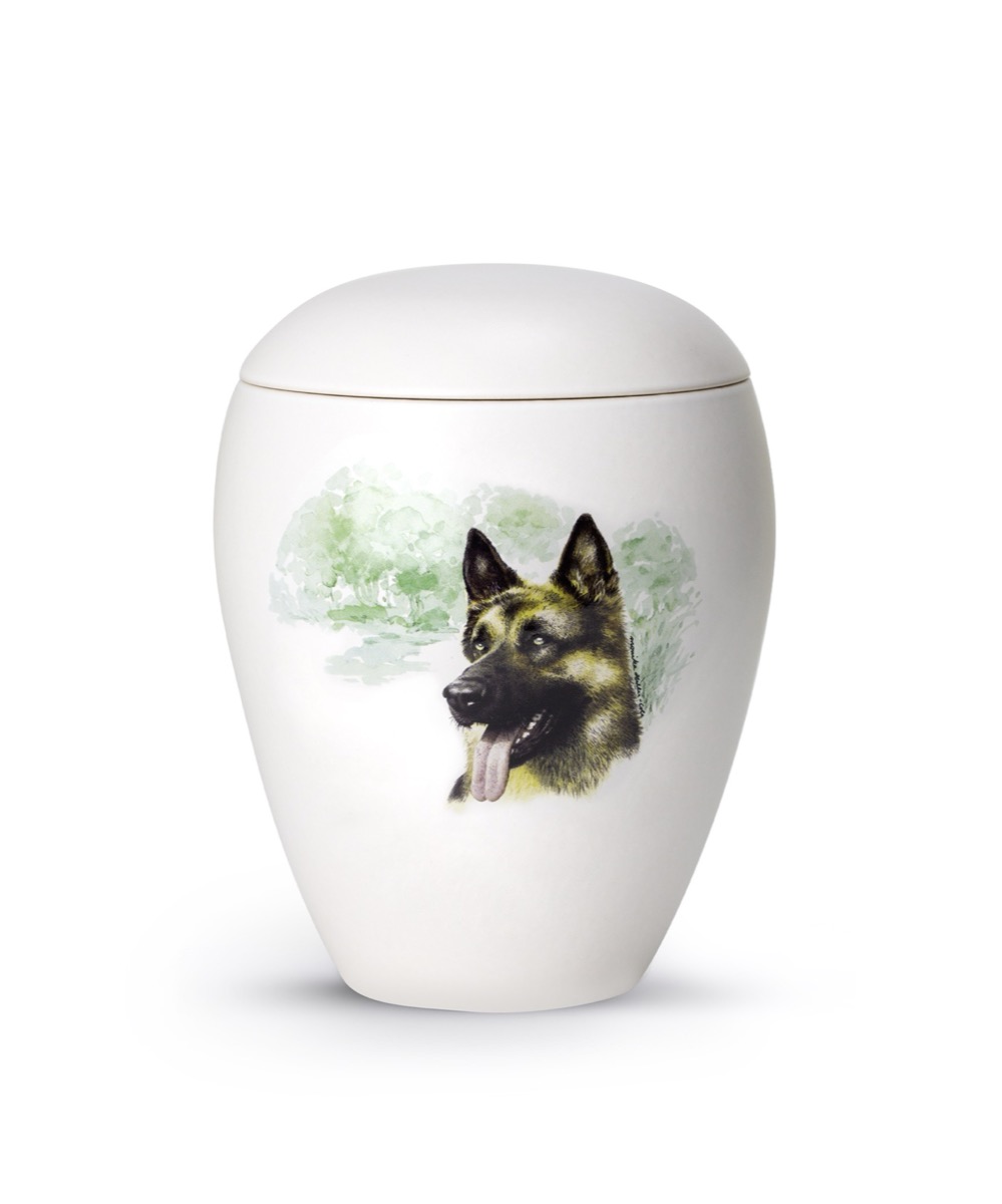 Deutscher Schäferhund