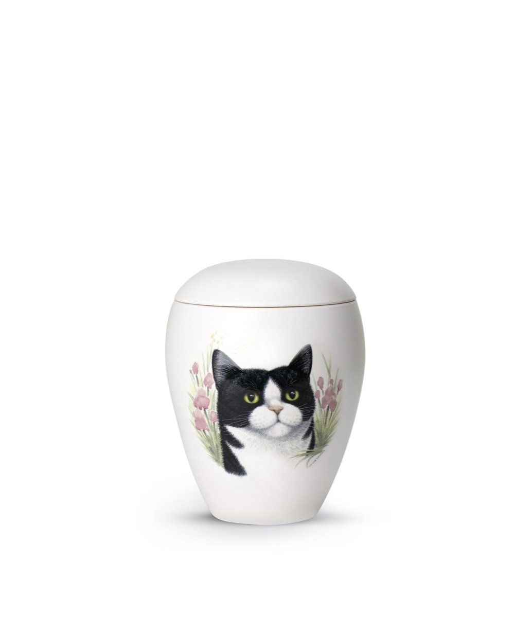 Katze (Variante 2)
