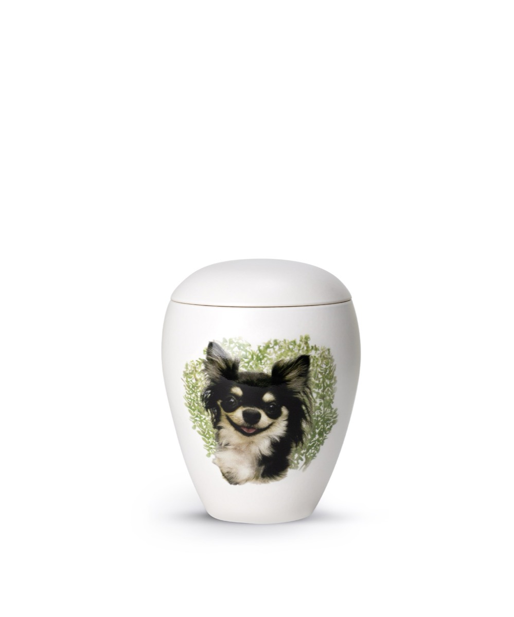 Bianco