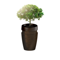 Evertree