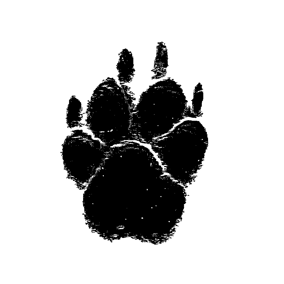 Pfotenabdruck Kollektion